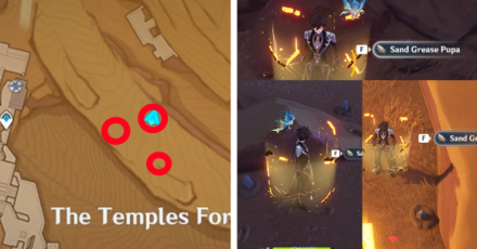 Genshin - Sand Grease Pupa 1 to 5