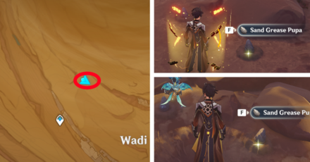 Genshin - Sand Grease Pupa 10 to 13