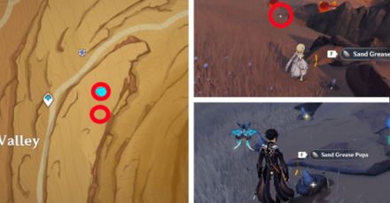 Genshin - Sand Grease Pupa 14 to 18