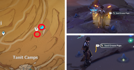 Genshin - Sand Grease Pupa 24 to 29