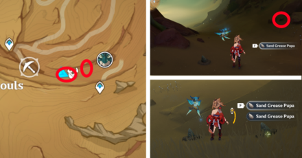 Genshin - Sand Grease Pupa 32 to 35