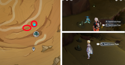 Genshin - Sand Grease Pupa 36 to 40