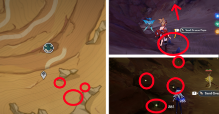 Genshin - Sand Grease Pupa 44 to 50