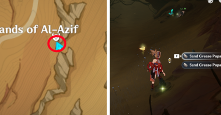 Genshin - Sand Grease Pupa 57 to 58