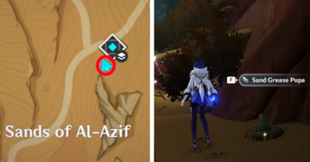 Genshin - Sand Grease Pupa 70