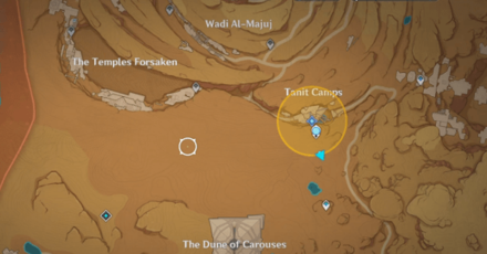 Genshin - Wisdom Has Built Her House - 2