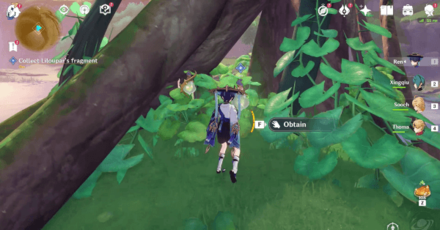 Genshin - Collect Liloupar