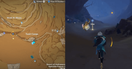 Genshin - Tadhla the Falcon 2