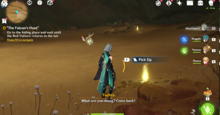 Genshin - The Falcon