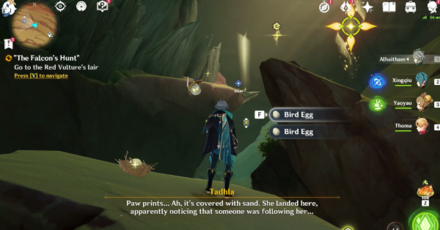 Genshin - The Falcon