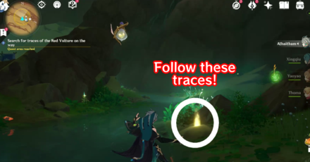 Genshin - The Falcon