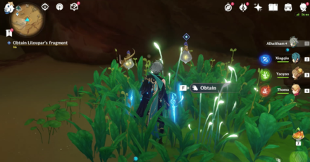 Genshin - The Falcon