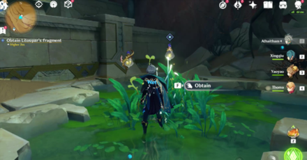 Genshin - Obtain liloupar