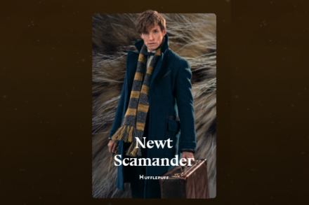 Hogwarts Legacy - Newt Scamander.png