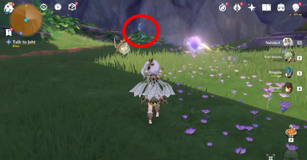 Genshin - How to Get Memories of the Eternal Oasis 6