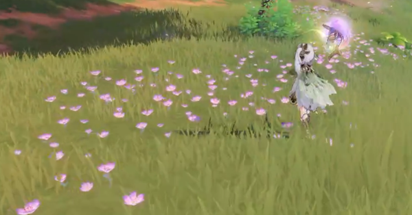 Genshin - Follow the Purple Flowers