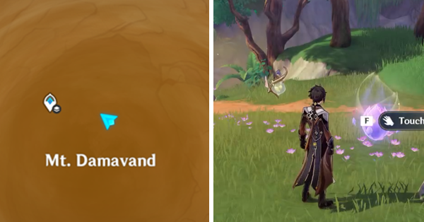 Genshin - Memories of the Eternal Oasis Location 2