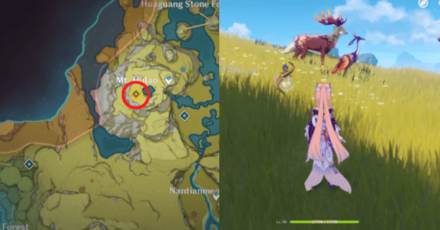 Genshin - A Single Harmony for an Irreplaceable Soul Quest Step 9