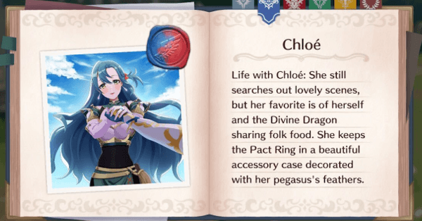 S-Rank Ally Notebook