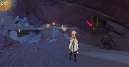 Genshin - Henna Berry Location 91