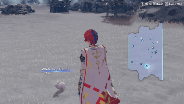 Fire Emblem Engage Adopt Animals