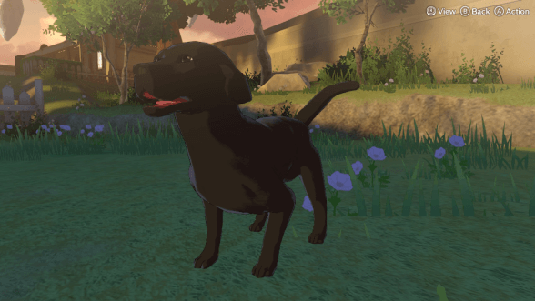 Fire Emblem Engage Dogs