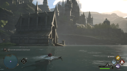 Hogwarts Legacy - Swimming