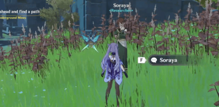 Genshin - Treasure Lost Treasure Found Soraya