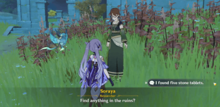 Genshin - Treasure Lost Treasure Found Soraya