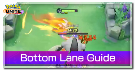 Pokemon UNITE - Bottom Lane Guide Banner (New).png