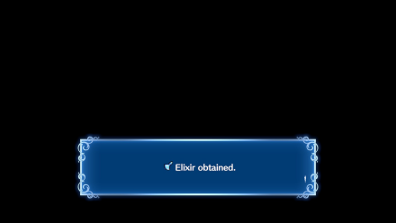 Chapter 12 Elixir Obtained.png