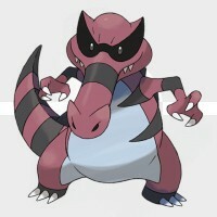 Krookodile Best Tera Build