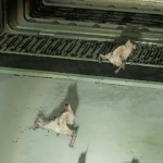 Dead Space Remake (2023)- Swarmers