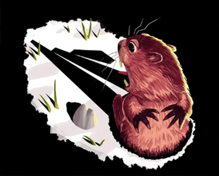 Groundhog Shadow