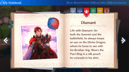 Diamant Notebook.png