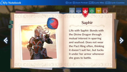 Saphir Paired Ending Notebook