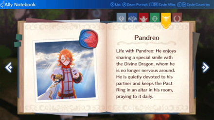Pandreo Paired Ending Notebook