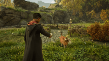 Hogwarts Legacy - Kneazle