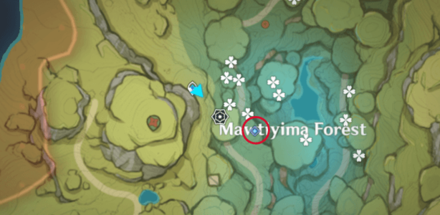 Genshin - Go to Mawtiyima Forest, you can directly teleport on the Event Domain