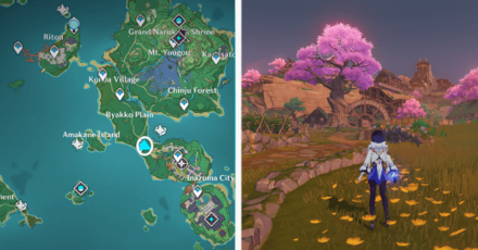 Genshin - Viewpoint in Inazuma City in Narukami Island