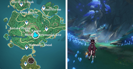 Genshin - Viewpoint in Tsurumi Island