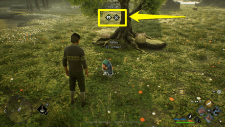 Hogwarts Legacy - Brushing a Niffler