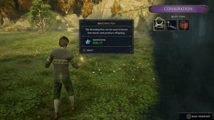 Hogwarts Legacy - Breeding Pen
