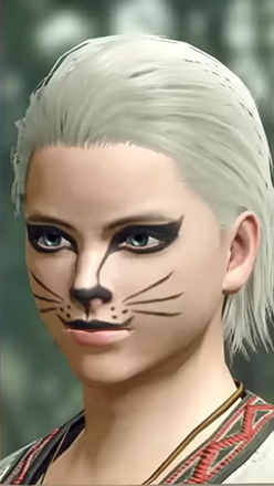 MH Rise Sunbreak - Palico Makeup