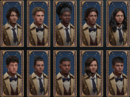 Hogwarts Legacy - Presets 2