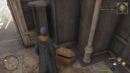 Large Nature Terrain