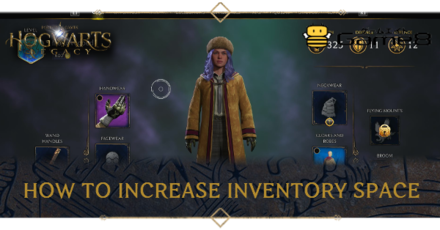 Hogwarts Legacy How to increase inventory space