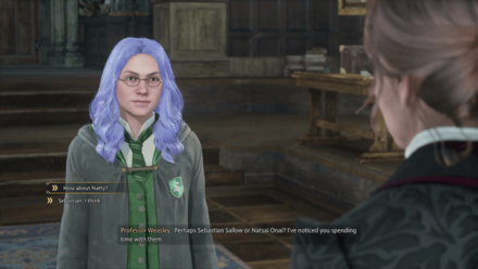 Hogwarts Legacy  - Companion Choice