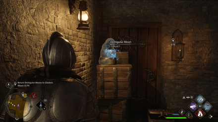 Hogwarts Legacy - Hog