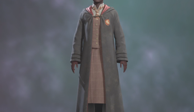 Traditional School Robe